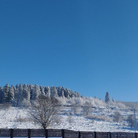 Apartamento Перлина Карпат Skhidnytsia Exterior foto